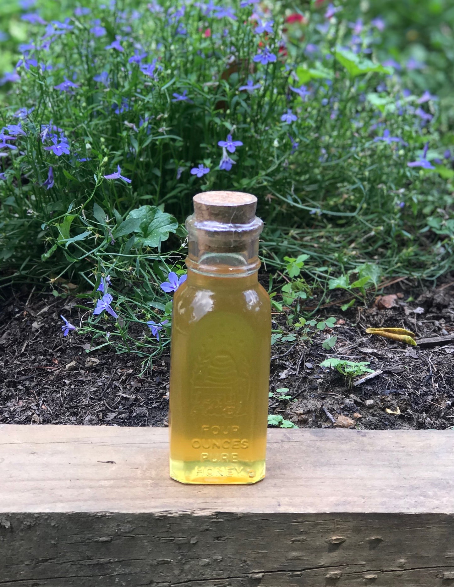 Spring Honey from Old City in a Muth Bottle